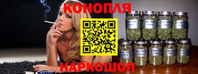 крисы Пенза
