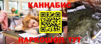 spice Обь